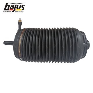 Federbalg, Luftfederbein