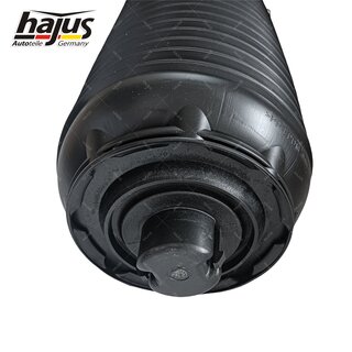 Federbalg, Luftfederbein