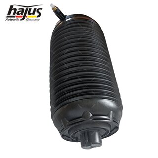 Federbalg, Luftfederbein