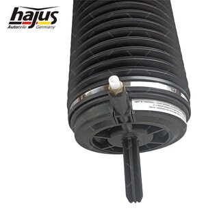 Federbalg, Luftfederbein