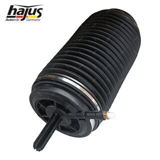 Federbalg, Luftfederbein