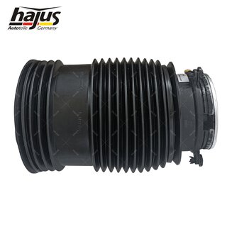 Federbalg, Luftfederbein