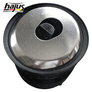 Federbalg, Luftfederbein