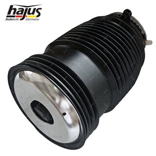 Federbalg, Luftfederbein