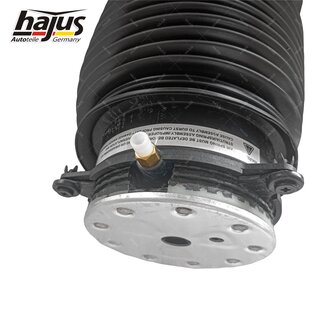 Federbalg, Luftfederbein