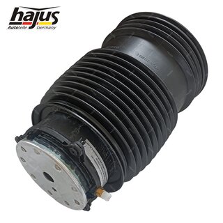 Federbalg, Luftfederbein