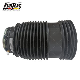 Federbalg, Luftfederbein