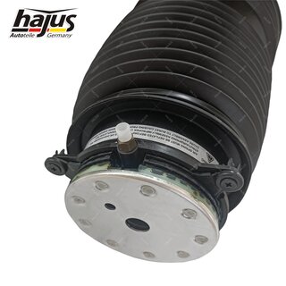 Federbalg, Luftfederbein