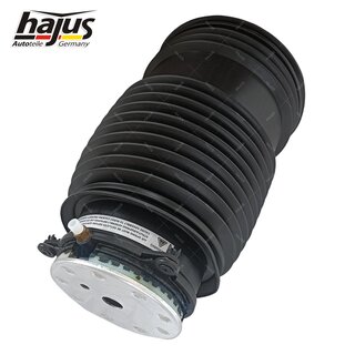 Federbalg, Luftfederbein