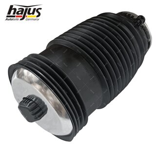 Federbalg, Luftfederbein