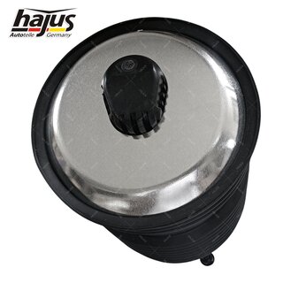 Federbalg, Luftfederbein