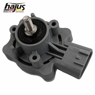 Sensor, Leuchtweitenregulierung