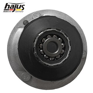 Federbeinst�tzlager