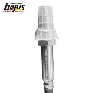 NOX Sensor, Nox-Katalysator