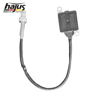 NOX Sensor, Nox-Katalysator