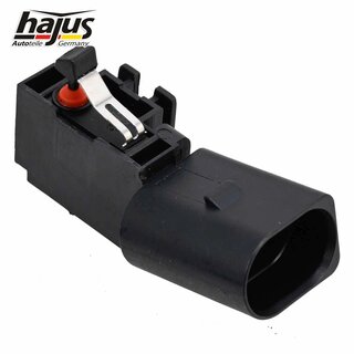 Schalter, Heckklappenentriegelung