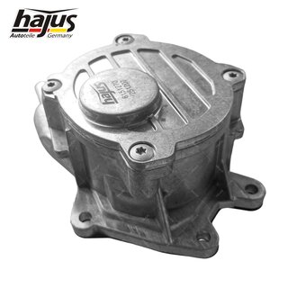 Unterdruckpumpe, Bremsanlage