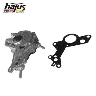 Unterdruckpumpe, Bremsanlage