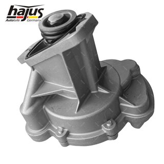 Unterdruckpumpe, Bremsanlage