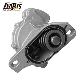 Unterdruckpumpe, Bremsanlage