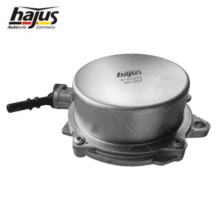 Unterdruckpumpe, Bremsanlage