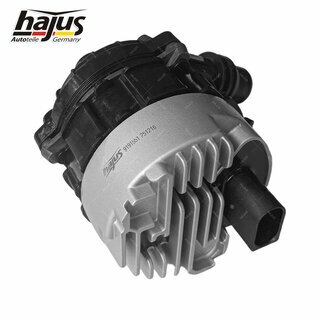 Zusatzwasserpumpe (Khlwasserkreislauf)