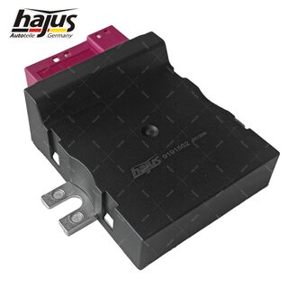 Steuergert, Kraftstoffpumpe