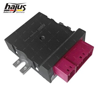 Steuergert, Kraftstoffpumpe