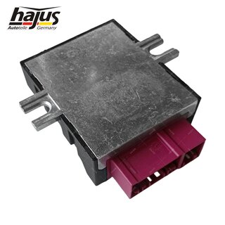 Steuergert, Kraftstoffpumpe