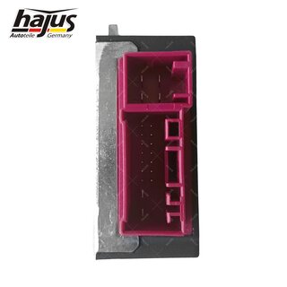 Steuergert, Kraftstoffpumpe