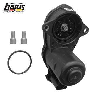 Stellelement, Feststellbremse Bremssattel