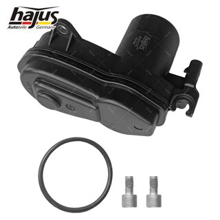 Stellelement, Feststellbremse Bremssattel