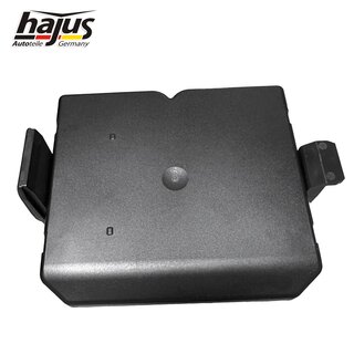 Steuermodul, Heckklappenentriegelung