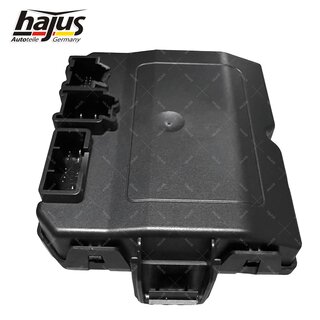 Steuermodul, Heckklappenentriegelung