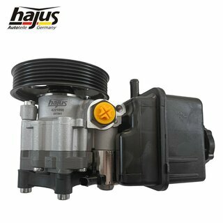 Hydraulikpumpe, Lenkung