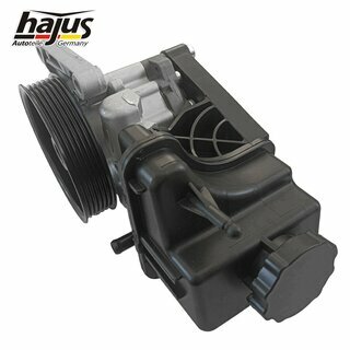 Hydraulikpumpe, Lenkung