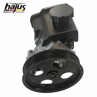 Hydraulikpumpe, Lenkung