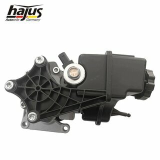 Hydraulikpumpe, Lenkung