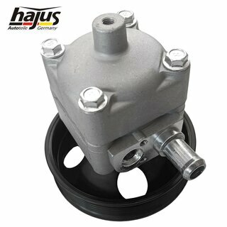 Hydraulikpumpe, Lenkung