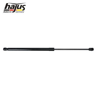 Gasfeder, Koffer-/Laderaum