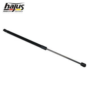 Gasfeder, Koffer-/Laderaum