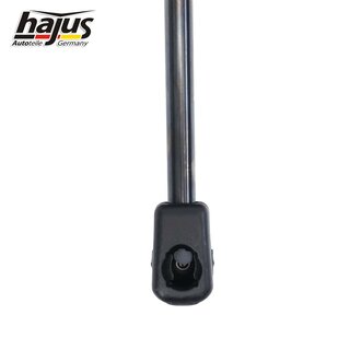 Gasfeder, Koffer-/Laderaum