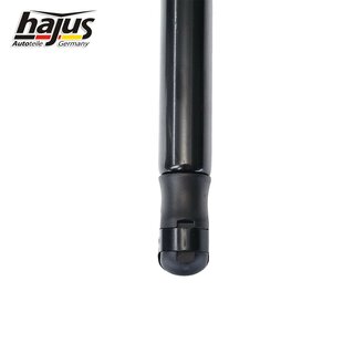 Gasfeder, Koffer-/Laderaum