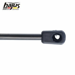 Gasfeder, Koffer-/Laderaum