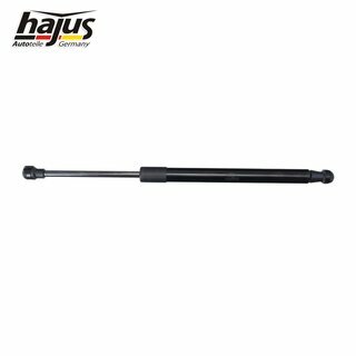 Gasfeder, Koffer-/Laderaum