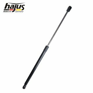 Gasfeder, Koffer-/Laderaum