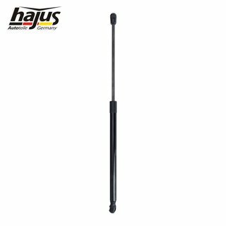 Gasfeder, Koffer-/Laderaum