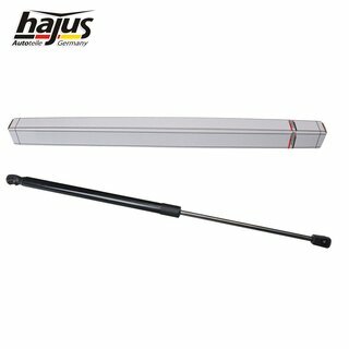 Gasfeder, Koffer-/Laderaum