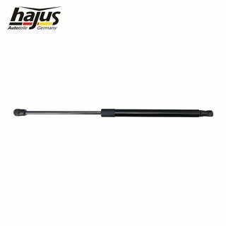 Gasfeder, Koffer-/Laderaum