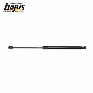 Gasfeder, Koffer-/Laderaum